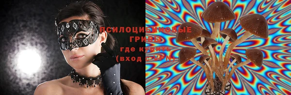 амф Краснотурьинск