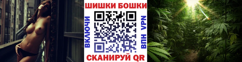 Купить где  Цоци-Юрт  Каннабис гибрид 